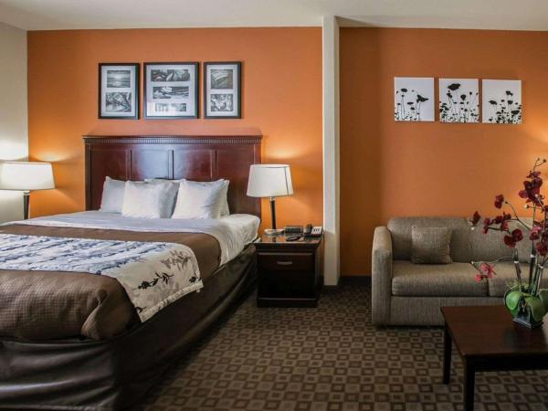 Sleep Inn & Suites Hwy 290-NW Freeway : photo 6 de la chambre suite lit king-size – non-fumeurs