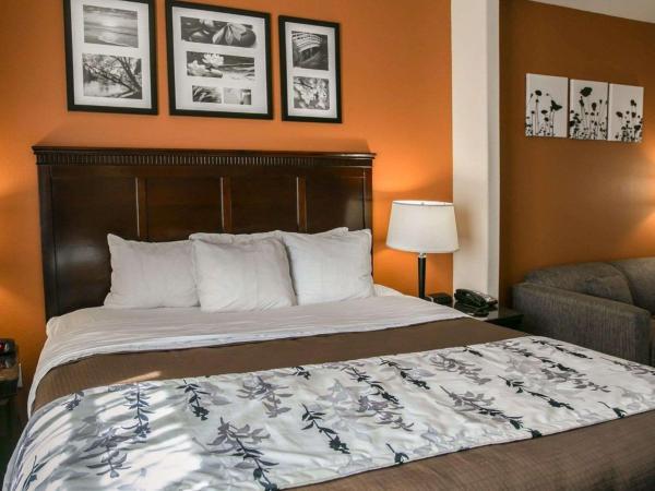 Sleep Inn & Suites Hwy 290-NW Freeway : photo 7 de la chambre suite lit king-size – non-fumeurs