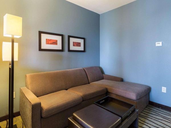 Comfort Suites near Westchase on Beltway 8 : photo 7 de la chambre suite lit king-size
