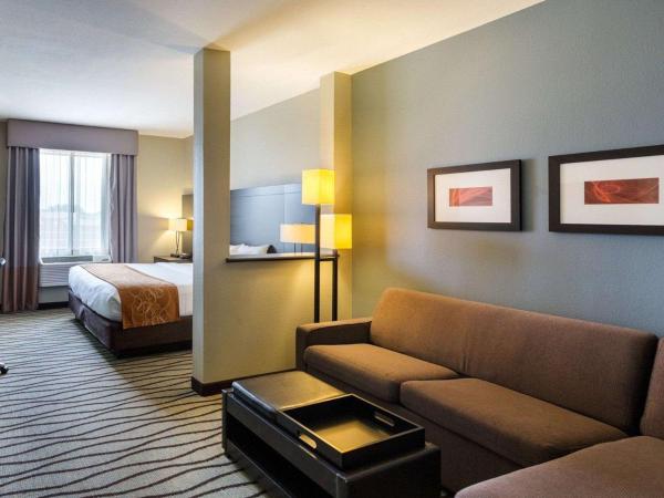 Comfort Suites near Westchase on Beltway 8 : photo 6 de la chambre suite lit king-size