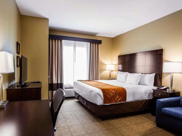 Comfort Suites Northwest - Cy - Fair : photo 2 de la chambre suite lit king-size avec canapé-lit - non-fumeurs