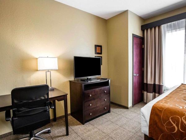 Comfort Suites Northwest - Cy - Fair : photo 5 de la chambre suite lit king-size avec canapé-lit - non-fumeurs