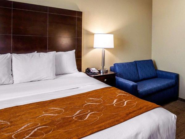 Comfort Suites Northwest - Cy - Fair : photo 1 de la chambre suite lit king-size avec canapé-lit - non-fumeurs