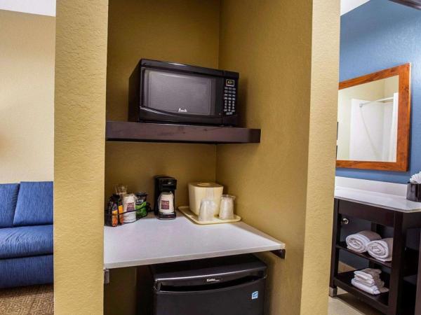 Comfort Suites Northwest - Cy - Fair : photo 4 de la chambre suite lit king-size avec canapé-lit - non-fumeurs