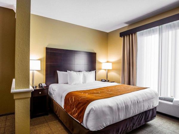 Comfort Suites Northwest - Cy - Fair : photo 1 de la chambre suite lit king-size avec canapé-lit