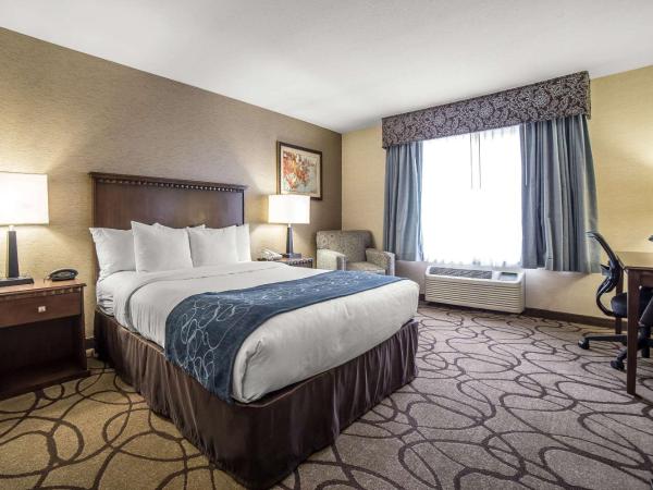 Comfort Suites Airport : photo 2 de la chambre chambre standard j