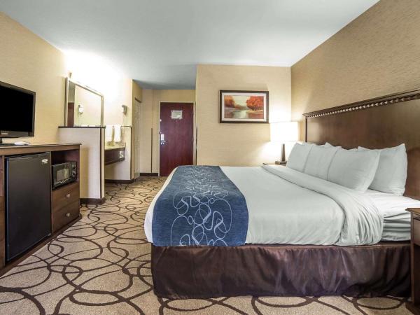 Comfort Suites Airport : photo 2 de la chambre suite lit king-size – non-fumeurs