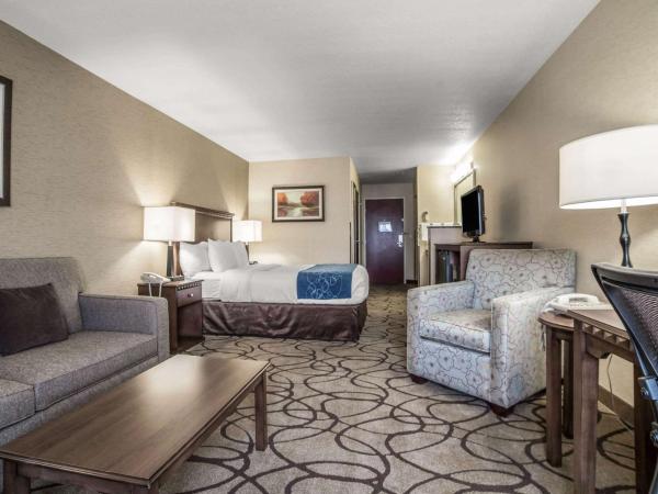 Comfort Suites Airport : photo 4 de la chambre suite lit king-size – non-fumeurs