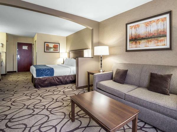 Comfort Suites Airport : photo 5 de la chambre suite lit king-size – non-fumeurs