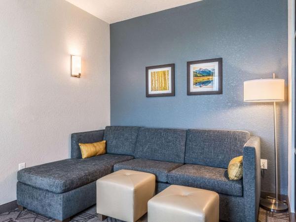 Comfort Inn & Suites Salt Lake City Airport : photo 9 de la chambre chambre lit king-size - non-fumeurs