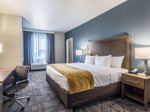 Comfort Inn & Suites Salt Lake City Airport : photo 8 de la chambre chambre lit king-size - non-fumeurs