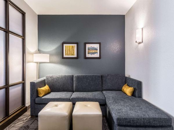 Comfort Inn & Suites Salt Lake City Airport : photo 10 de la chambre suite lit king-size - non-fumeurs/couloir intérieur