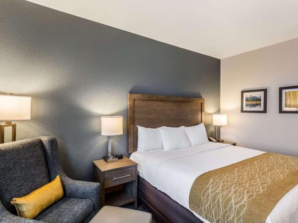 Comfort Inn & Suites Salt Lake City Airport : photo 2 de la chambre chambre lit king-size - non-fumeurs