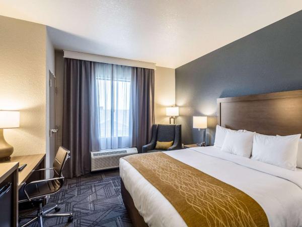 Comfort Inn & Suites Salt Lake City Airport : photo 1 de la chambre chambre lit king-size - non-fumeurs