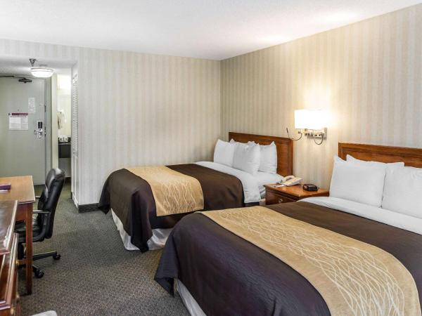 Comfort Inn Pentagon City : photo 6 de la chambre chambre double avec 2 lits doubles - non-fumeurs