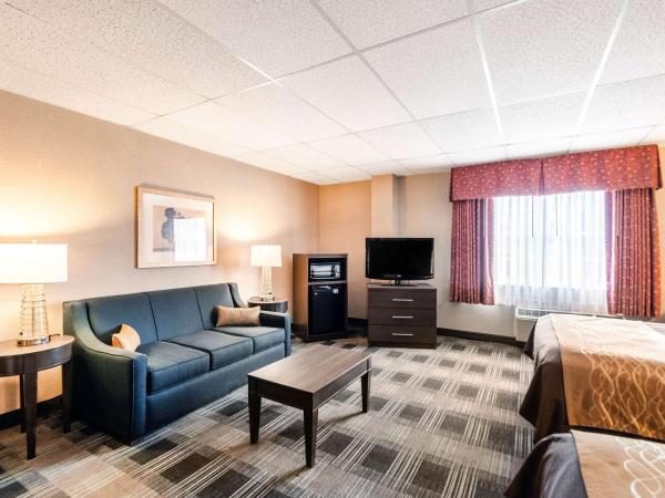 Comfort Inn Ballston : photo 8 de la chambre suite 2 lits queen-size avec canapé-lit