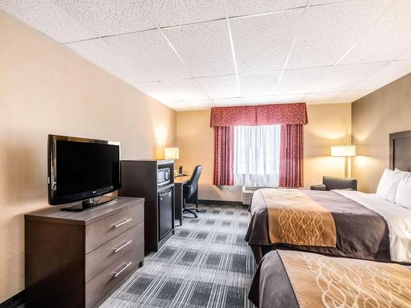 Comfort Inn Ballston : photo 5 de la chambre chambre standard avec 2 lits queen-size