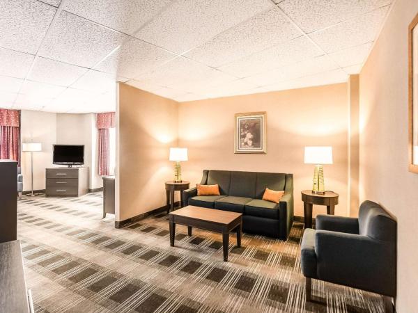 Comfort Inn Ballston : photo 2 de la chambre suite lit king-size supérieure – non-fumeurs