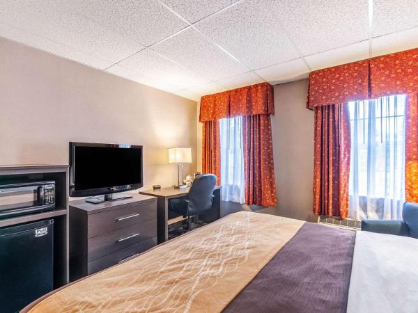 Comfort Inn Ballston : photo 5 de la chambre chambre lit king-size standard - vue sur cour