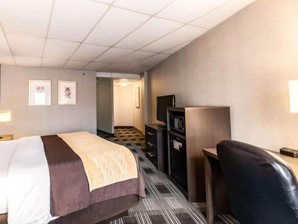 Comfort Inn Ballston : photo 4 de la chambre chambre lit king-size standard - vue sur cour