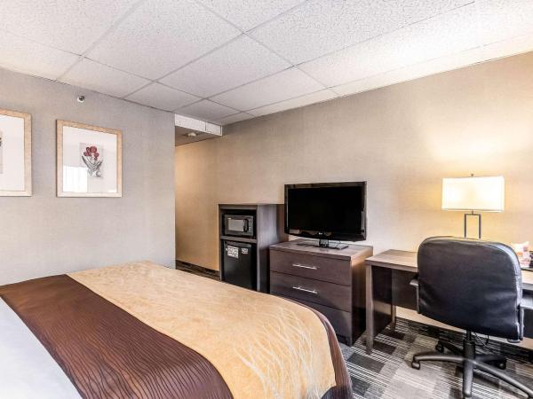 Comfort Inn Ballston : photo 2 de la chambre chambre lit king-size standard - vue sur cour
