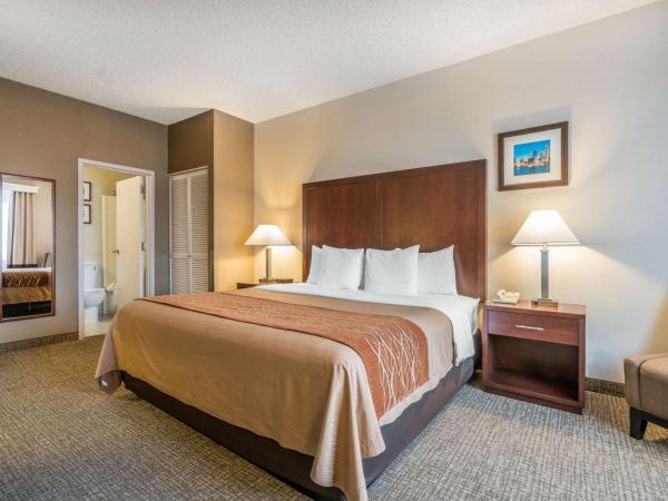 Comfort Inn & Suites Seattle North : photo 2 de la chambre chambre lit king-size - non-fumeurs