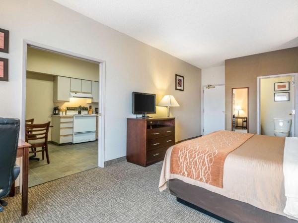 Comfort Inn & Suites Seattle North : photo 4 de la chambre chambre lit king-size - non-fumeurs
