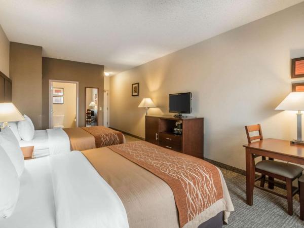 Comfort Inn & Suites Seattle North : photo 5 de la chambre chambre 2 lits queen-size - non-fumeurs