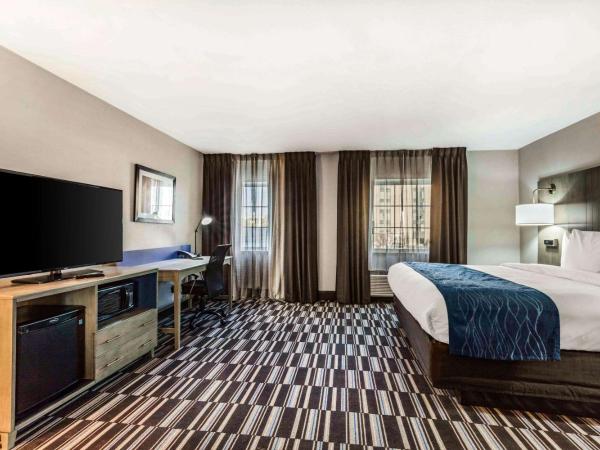 Comfort Inn Airport : photo 1 de la chambre chambre lit king-size deluxe - non-fumeurs 