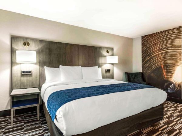 Comfort Inn Airport : photo 4 de la chambre chambre lit king-size deluxe - non-fumeurs 