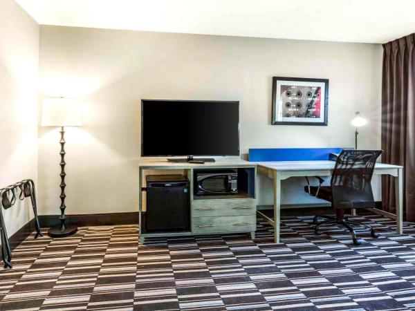 Comfort Inn Airport : photo 5 de la chambre chambre lit king-size deluxe - non-fumeurs 