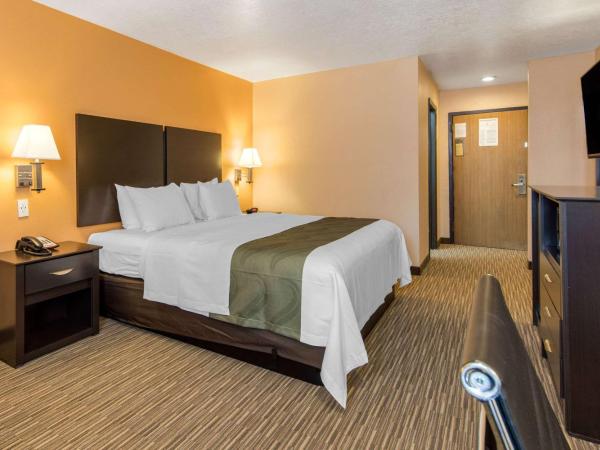 Quality Inn & Suites Albuquerque North near Balloon Fiesta Park : photo 2 de la chambre chambre lit king-size - fumeurs 