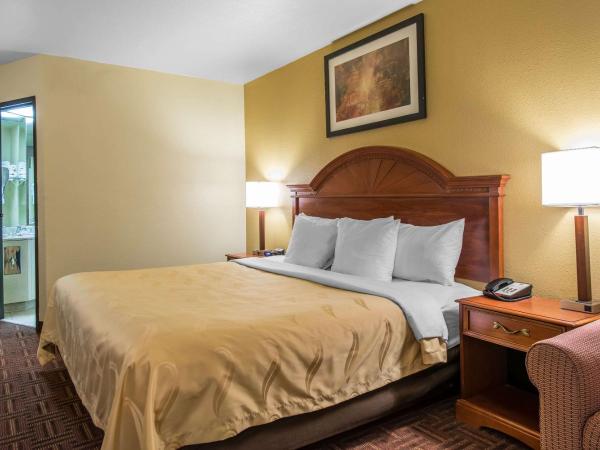 Quality Inn Colorado Springs South : photo 4 de la chambre chambre lit king-size - non-fumeurs