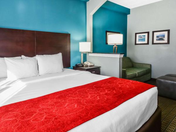 Comfort Suites Tampa - Brandon : photo 2 de la chambre suite lit king-size - accessible aux personnes à mobilité réduite - non-fumeurs