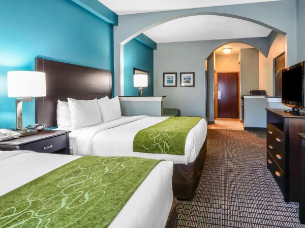 Comfort Suites Tampa - Brandon : photo 4 de la chambre suite 2 lits queen-size - non-fumeurs