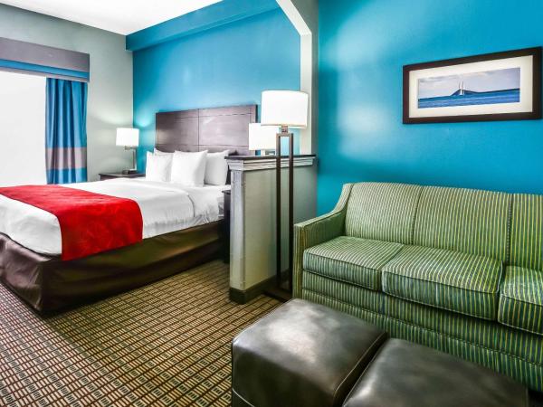 Comfort Suites Tampa - Brandon : photo 4 de la chambre suite lit king-size - accessible aux personnes à mobilité réduite - non-fumeurs