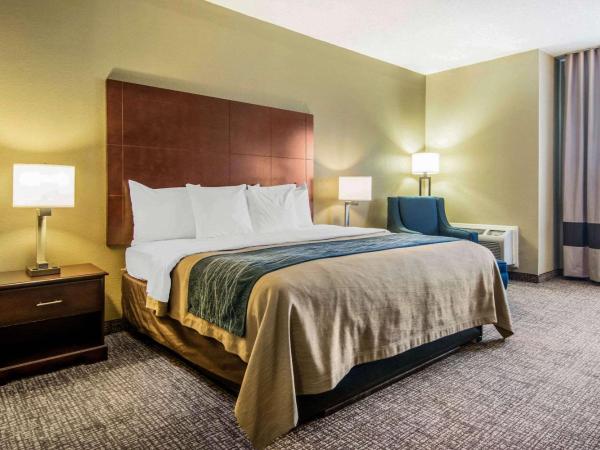 Comfort Inn Atlanta Downtown South : photo 1 de la chambre chambre lit king-size - non-fumeurs