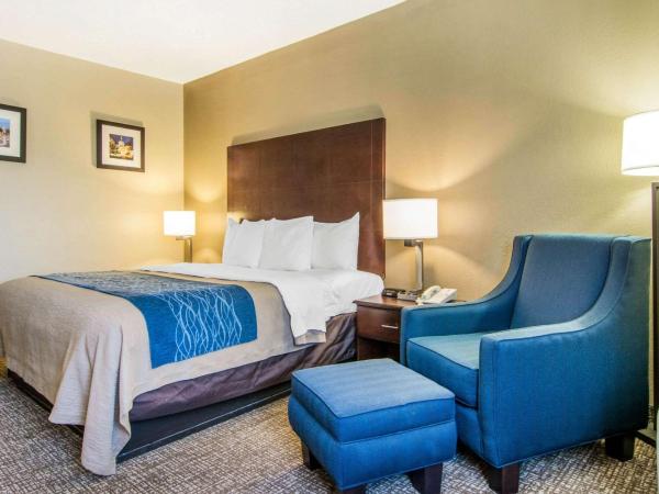 Comfort Inn Atlanta Downtown South : photo 2 de la chambre chambre lit king-size - non-fumeurs