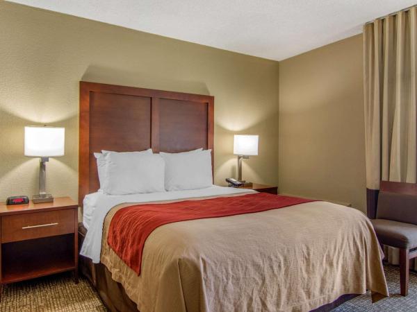 Comfort Inn Sandy Springs - Perimeter : photo 1 de la chambre chambre lit queen-size pour personnes à mobilité réduite - non-fumeurs