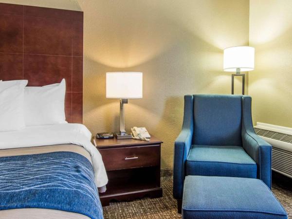 Comfort Inn Atlanta Downtown South : photo 4 de la chambre chambre lit king-size - non-fumeurs