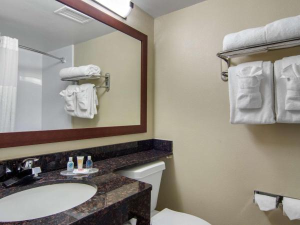 Comfort Inn Sandy Springs - Perimeter : photo 2 de la chambre chambre lit queen-size - non-fumeurs