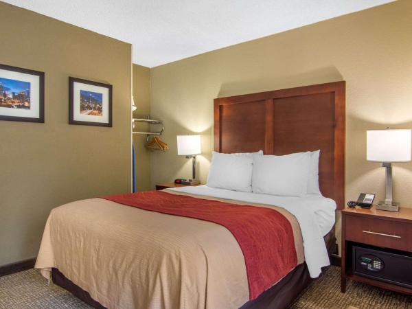 Comfort Inn Sandy Springs - Perimeter : photo 5 de la chambre chambre lit queen-size pour personnes à mobilité réduite - non-fumeurs