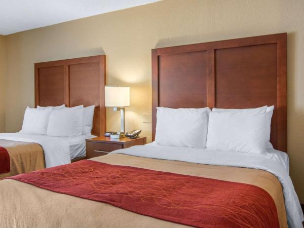 Comfort Inn Sandy Springs - Perimeter : photo 5 de la chambre chambre 2 lits queen-size - non-fumeurs