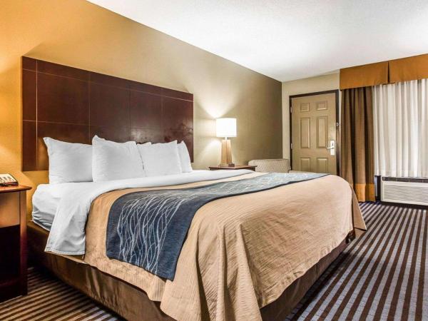 Comfort Inn & Suites Ballpark Area : photo 2 de la chambre chambre lit king-size - non-fumeurs