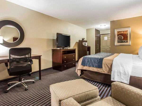 Comfort Inn & Suites Ballpark Area : photo 4 de la chambre chambre lit king-size - non-fumeurs