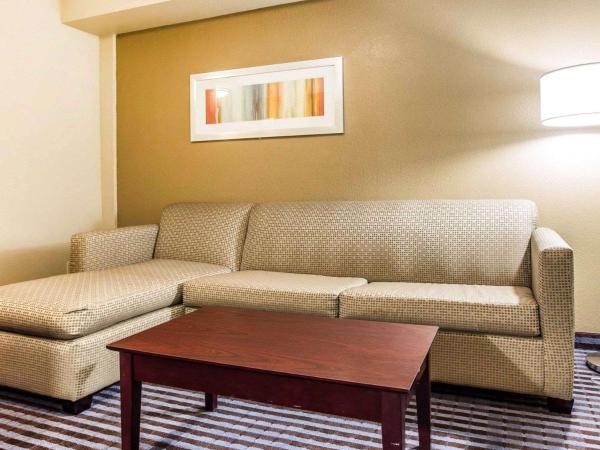 Comfort Inn & Suites Ballpark Area : photo 4 de la chambre suite 1 chambre lit king-size avec canapé-lit - non-fumeurs