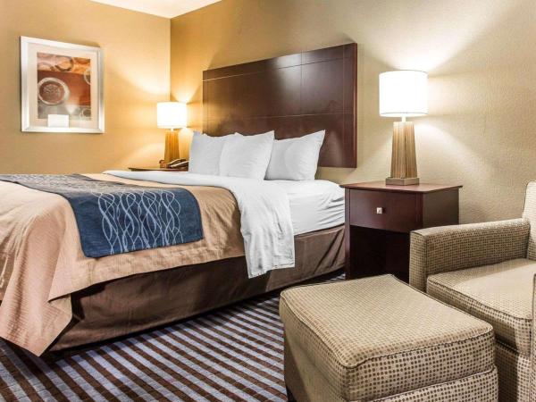 Comfort Inn & Suites Ballpark Area : photo 5 de la chambre chambre lit king-size - non-fumeurs