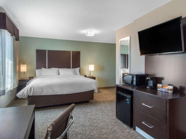 Clarion Inn & Suites Atlanta Downtown : photo 1 de la chambre suite lit king-size avec canapé-lit - non-fumeurs