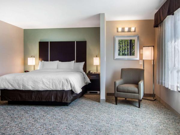 Clarion Inn & Suites Atlanta Downtown : photo 3 de la chambre chambre lit king-size - non-fumeurs