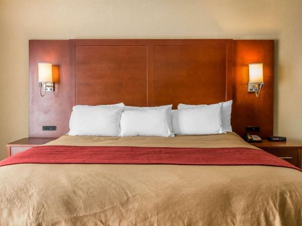 Comfort Inn Savannah : photo 5 de la chambre suite lit king-size